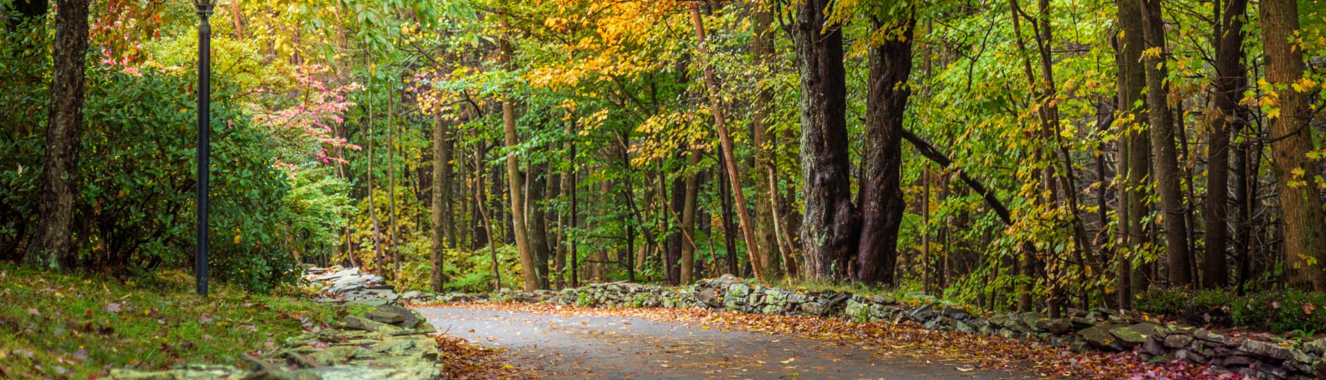 Purple flowers in front of railing with a sign for Arbor House attached to the railing.