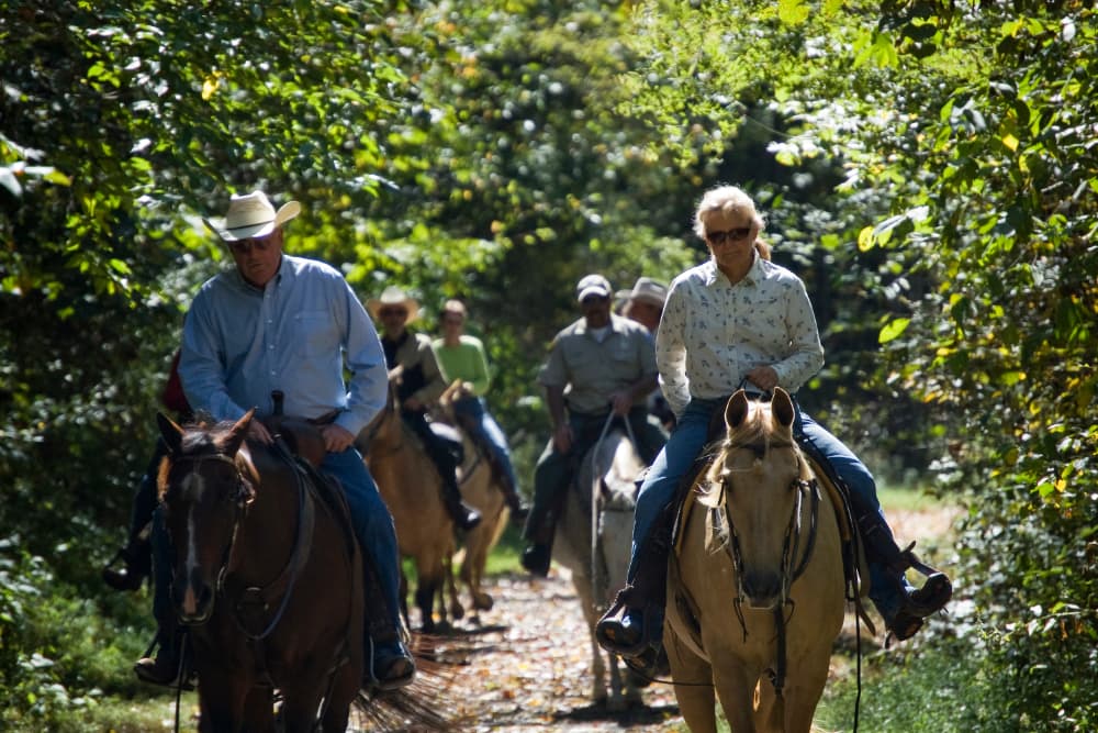 A group of people riding horses along a trail through the lush green mountains.
