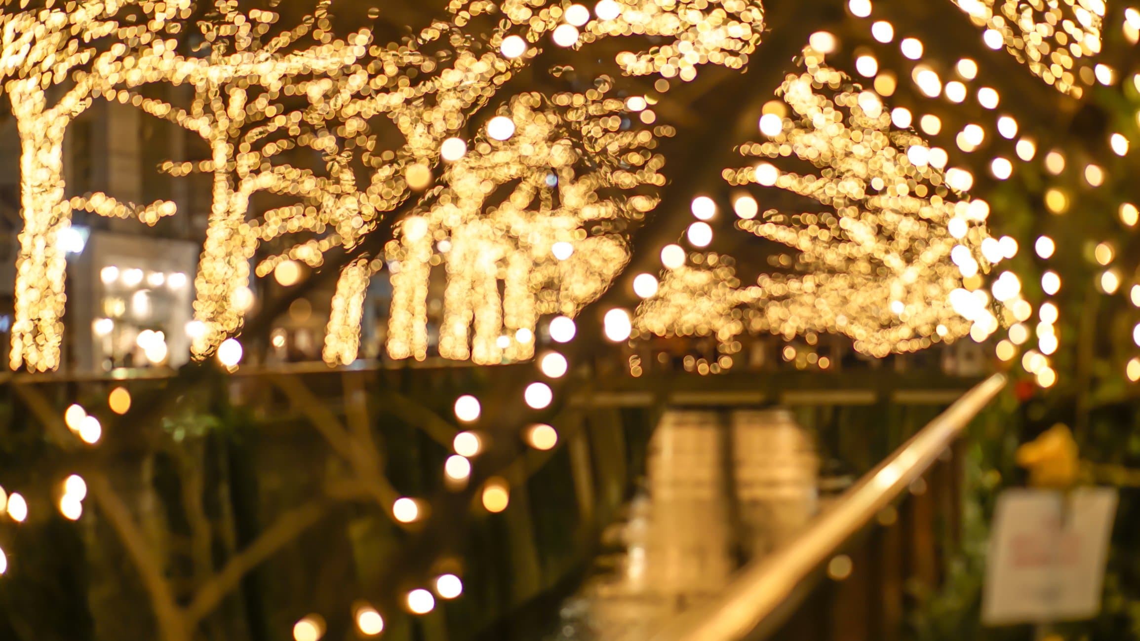 A blurred pathway lined with twinkling holiday lights.