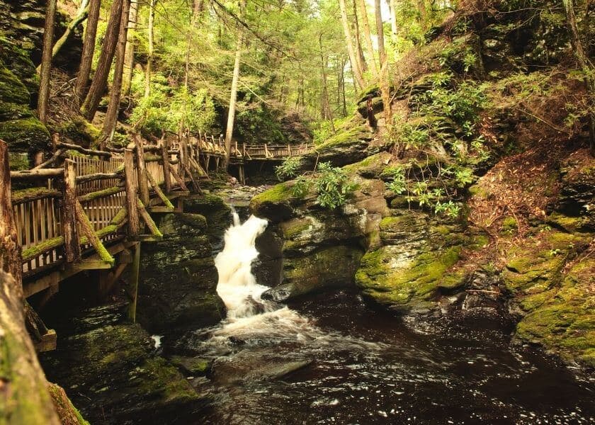 A tranquil forest scene featuring a small waterfall cascading over moss-covered rocks, with a wooden pathway nearby.