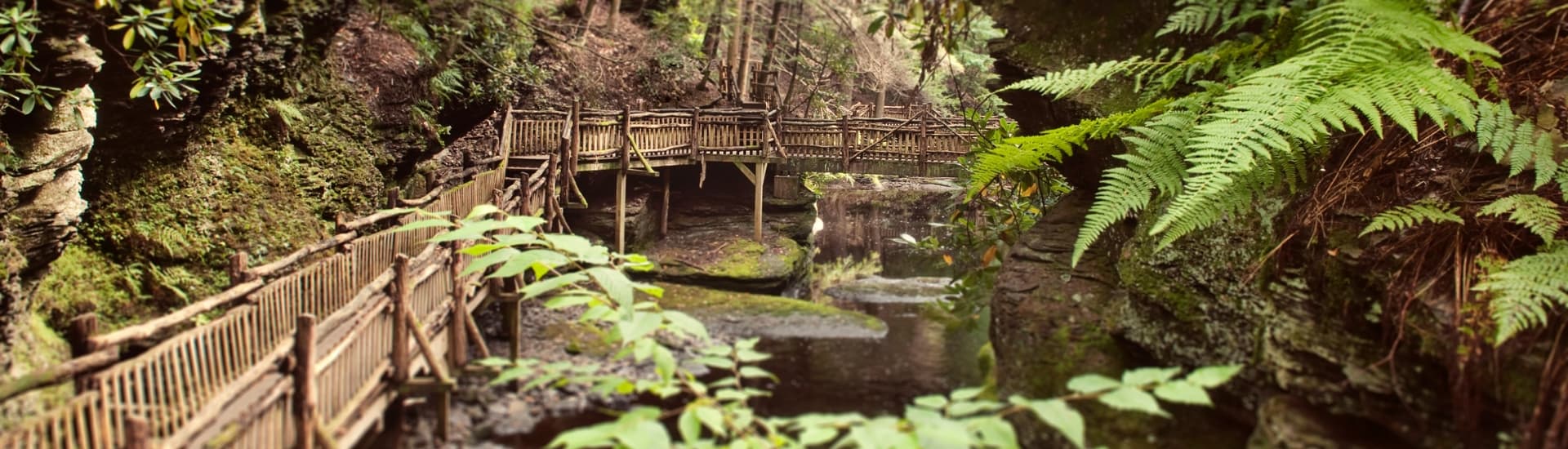 A wooden walkway winding through a lush, green gorge with a small stream flowing below.