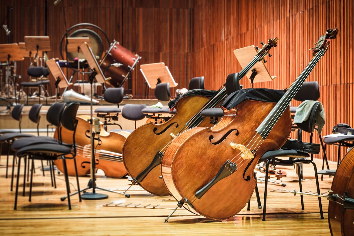 A close-up view of several stringed instruments, including cellos, in an orchestral setting with music stands and chairs in the background.