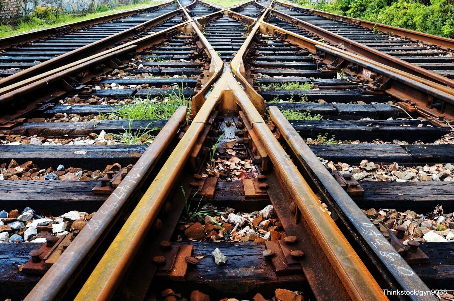 A close-up of intersecting railway tracks with greenery and gravel visible.