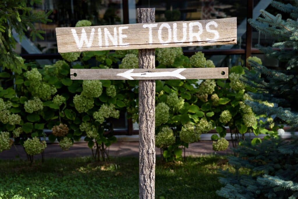 A wooden signpost with the words "WINE TOURS" and arrows pointing in two directions, surrounded by greenery.