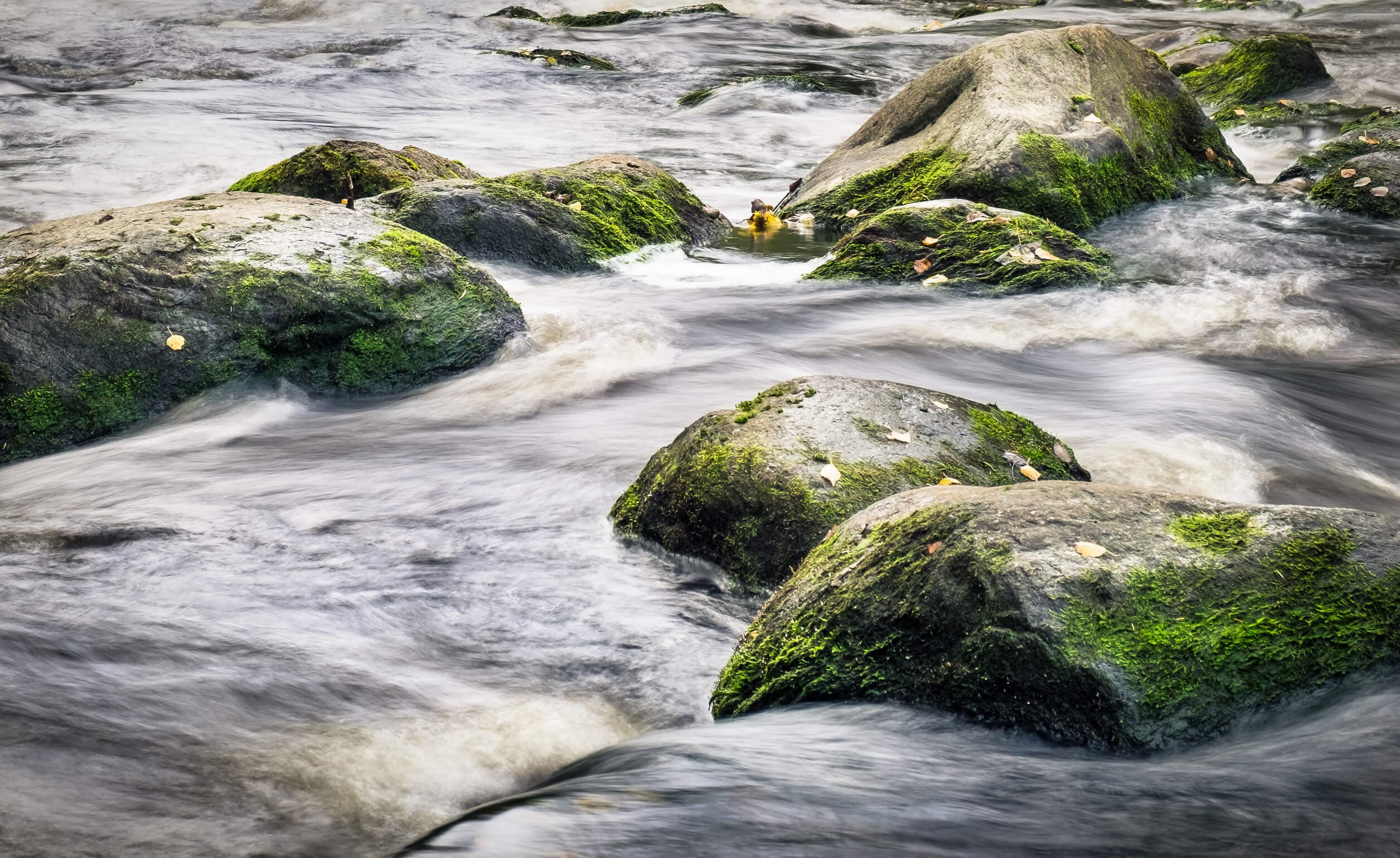 Smooth flowing water over moss-covered rocks.