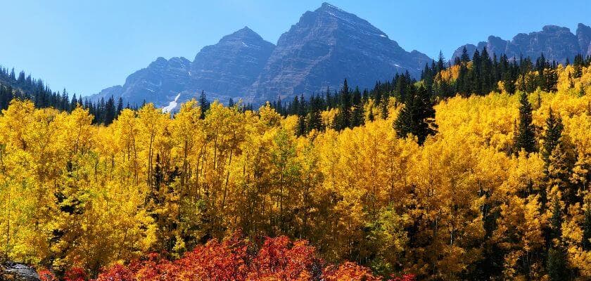 A vibrant autumn landscape featuring golden aspen trees against a backdrop of towering mountains.