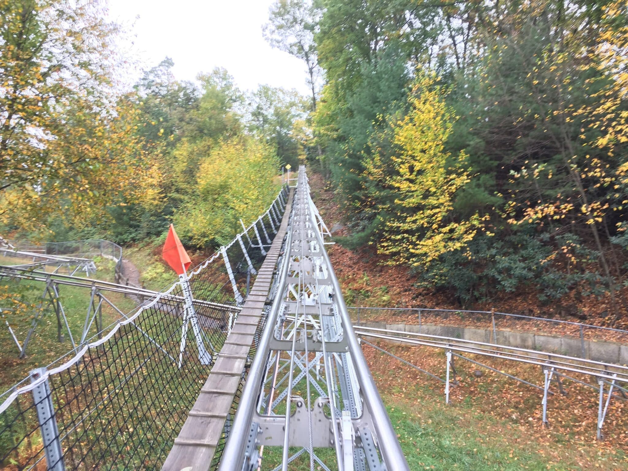 A winding roller coaster track surrounded by colorful autumn foliage.