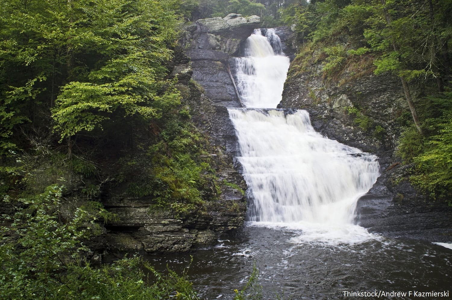 A cascading waterfall surrounded by lush green trees.