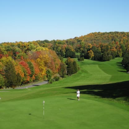 A golfer putting on a green, surrounded by colorful autumn trees.
