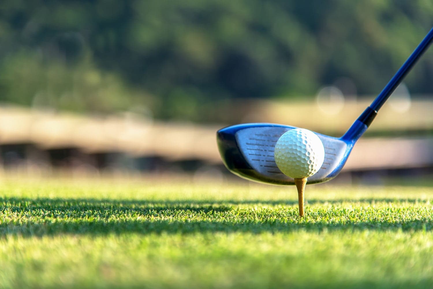 A golf club poised to strike a tee'd ball on a green fairway.