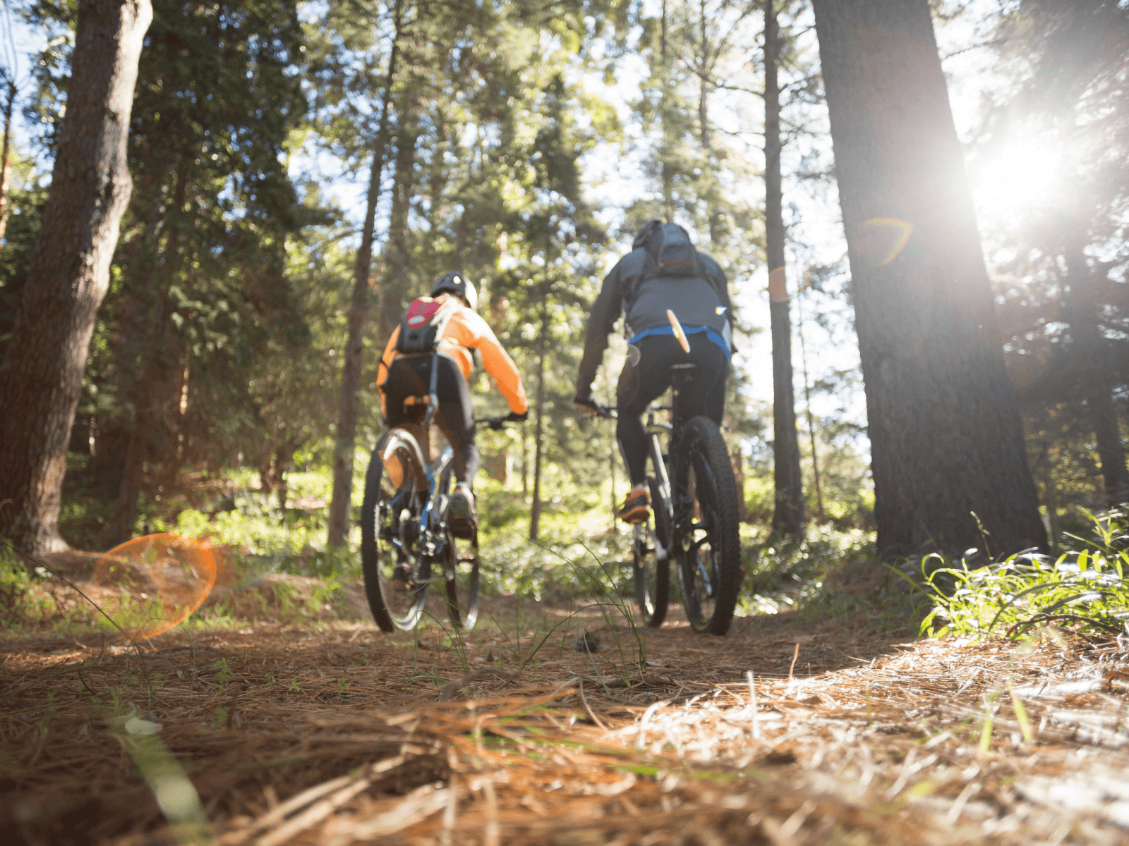 Two cyclists riding through a sunlit forest trail.