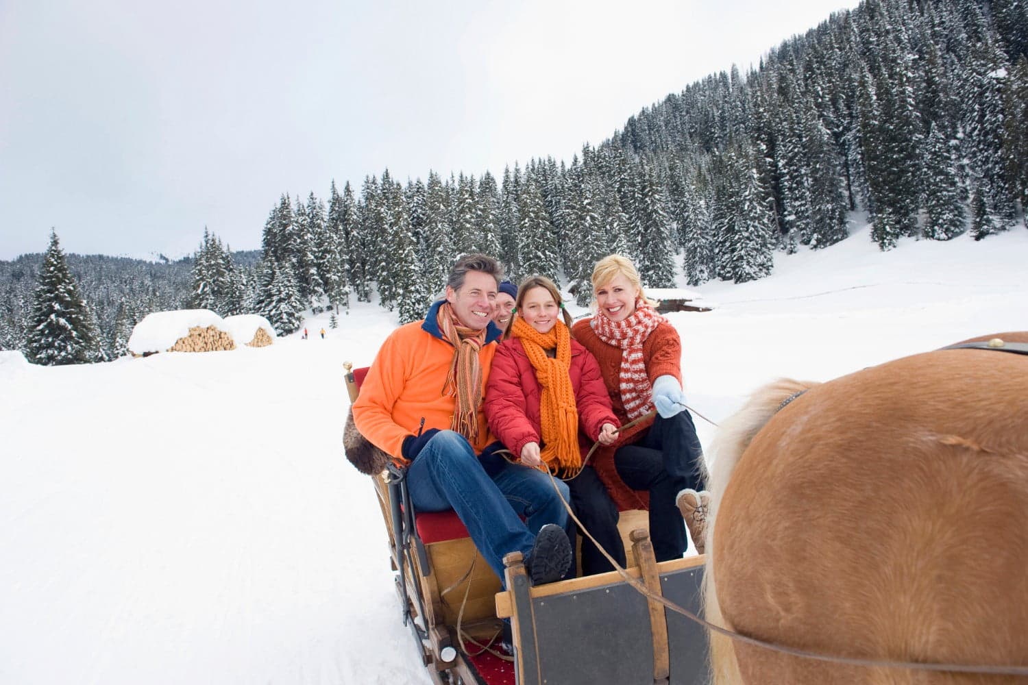 Three people smiling in a sled, surrounded by snow-covered trees.