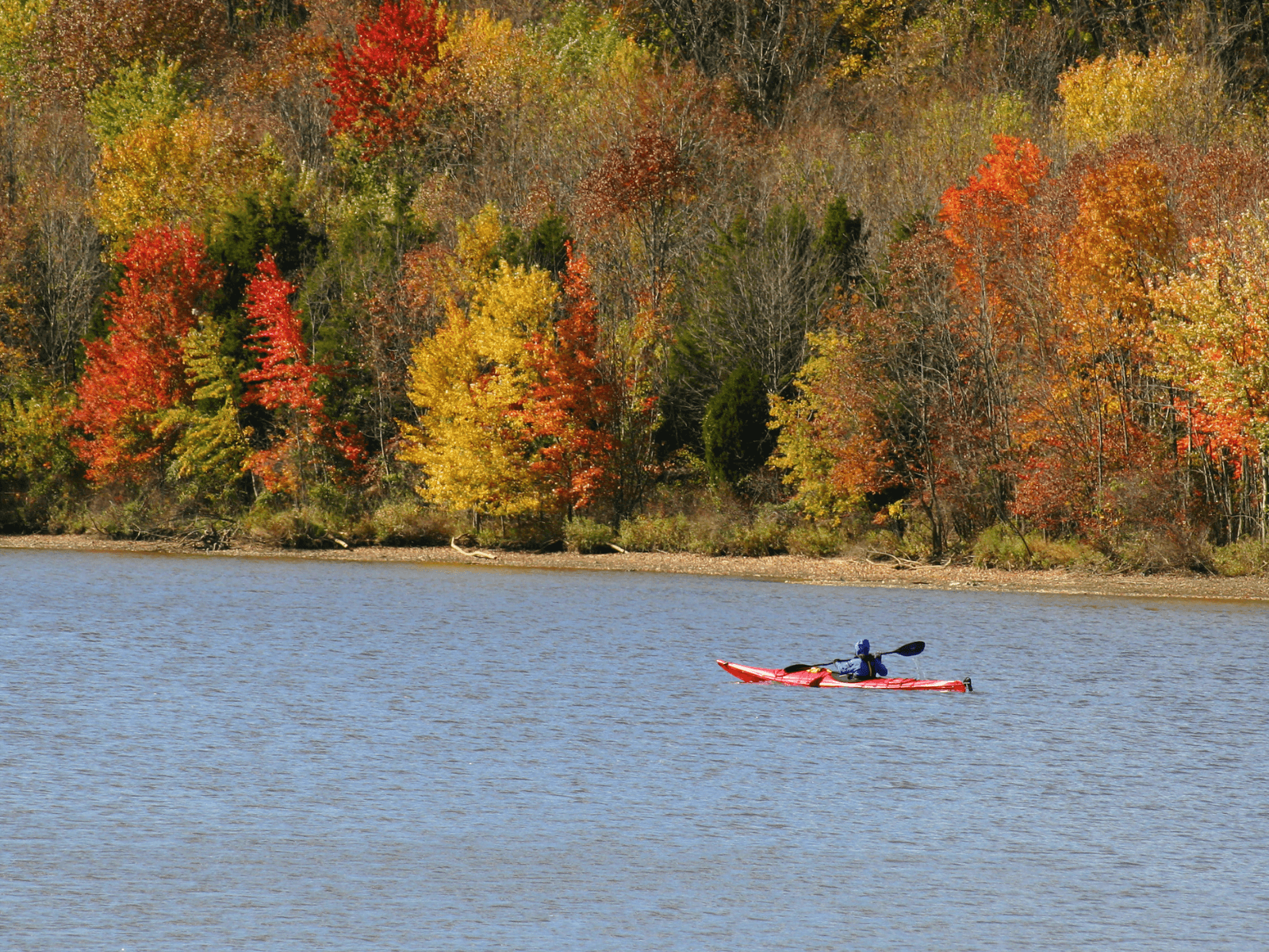 A kayaker paddles on a lake surrounded by vibrant autumn foliage.