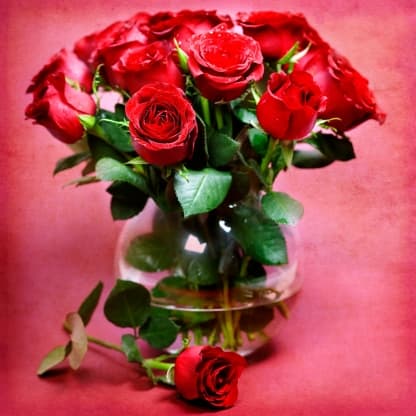 A dozen red roses in a clear vase