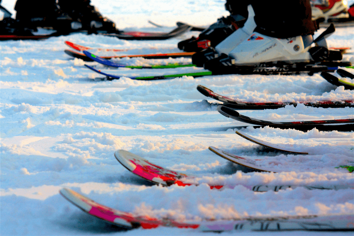 A line of colorful skis rests on a snowy surface.