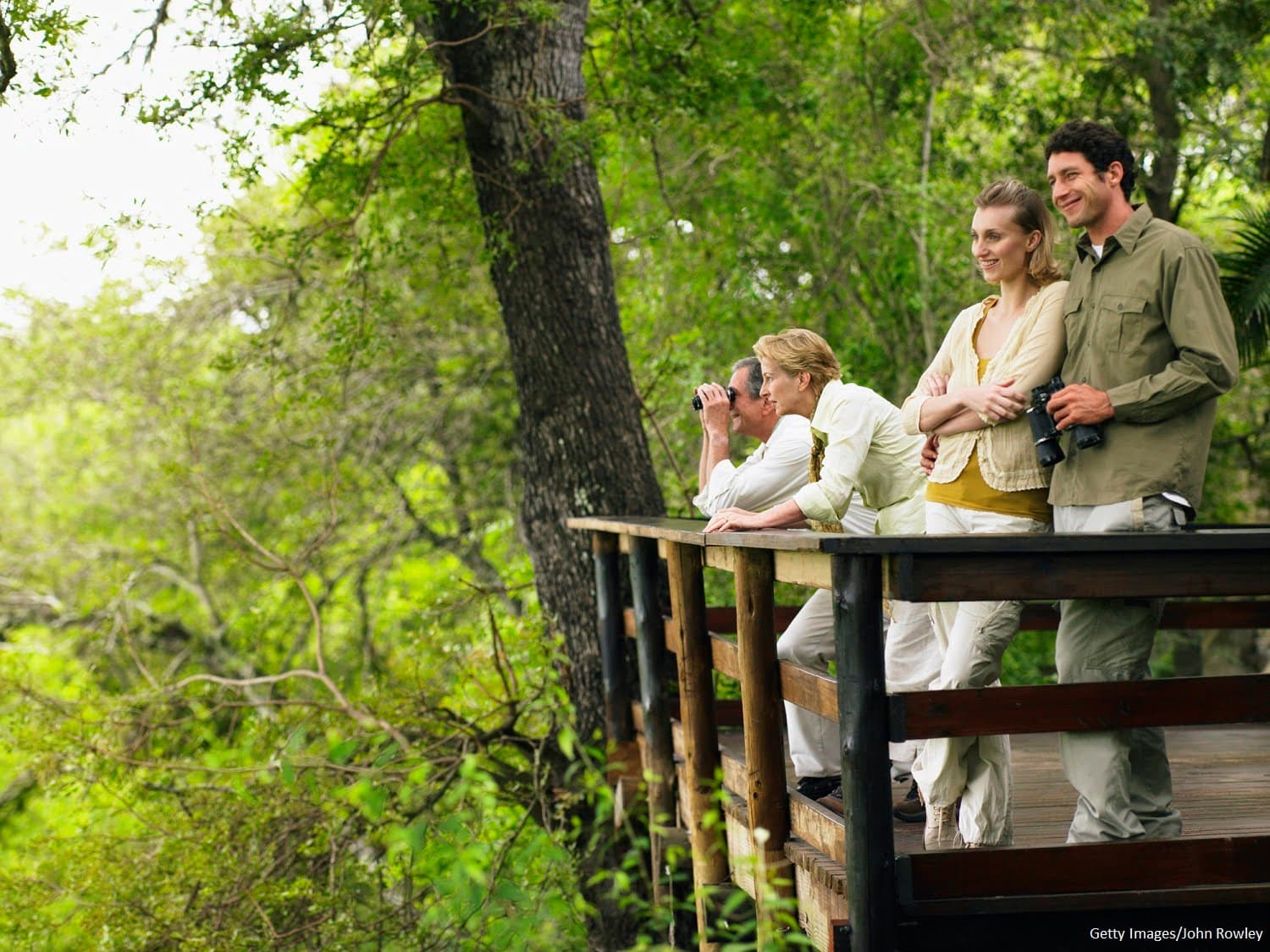 Four people observing nature from a wooden platform surrounded by greenery.