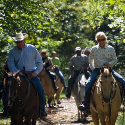 Several people enjoying nature while horseback riding on a trail.