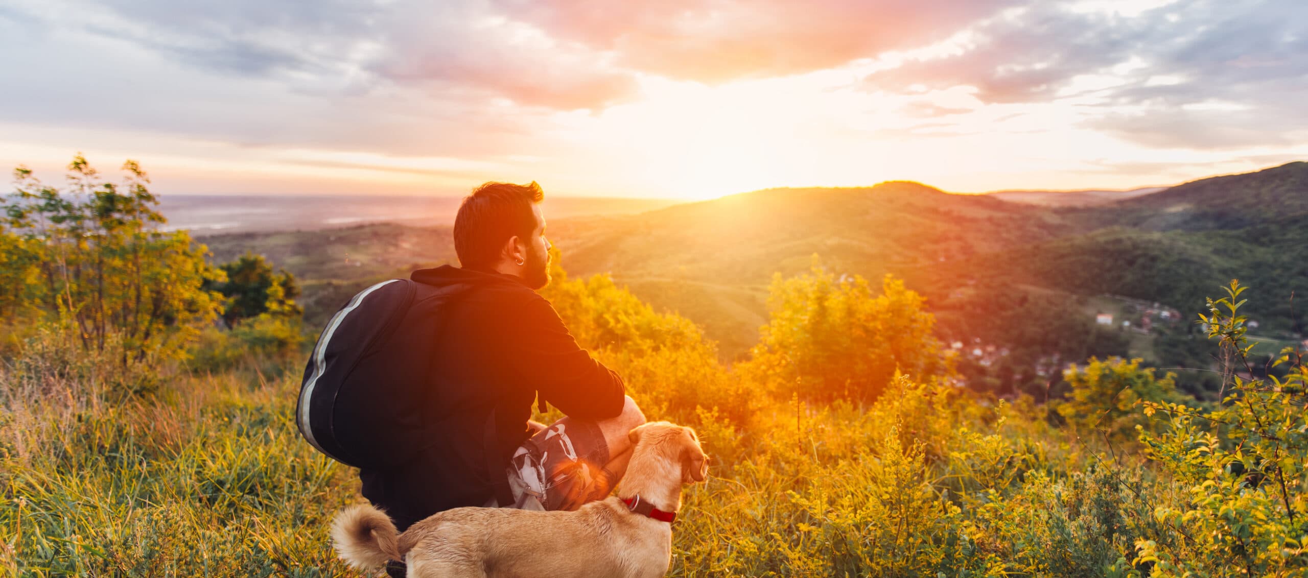A person sits beside a dog, gazing at a sunset over rolling hills.