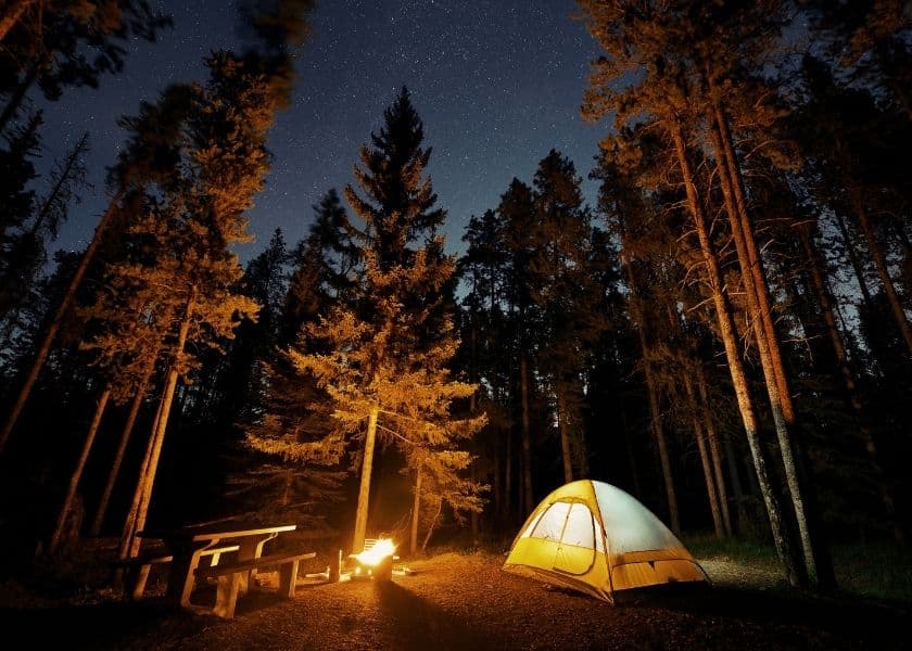 A yellow tent beside a campfire and picnic table, surrounded by tall trees under a starry night sky. A yellow tent beside a campfire and picnic table, surrounded by tall trees under a starry night sky.