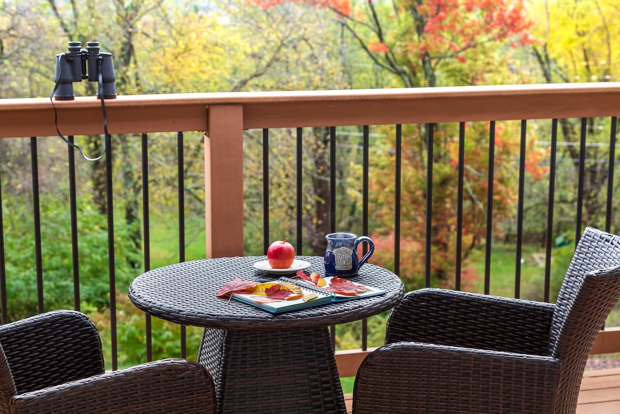 A small outdoor table with an apple, a plate of food, a mug, and binoculars, surrounded by colorful autumn foliage.