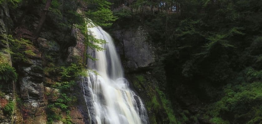 A cascading waterfall surrounded by lush green trees and rocks.