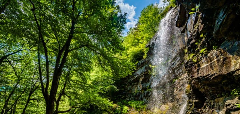 Waterfall flowing down a rocky cliff surrounded by trees and foliage, with sunlight filtering through the forest canopy.