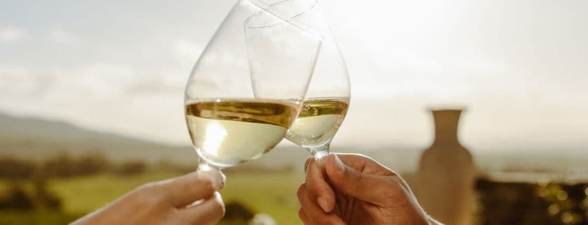 couple toasting white wine in a vineyard